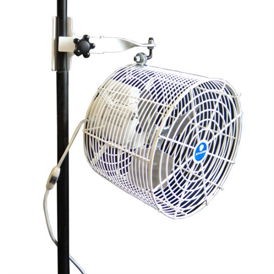 Picture of TENT FAN